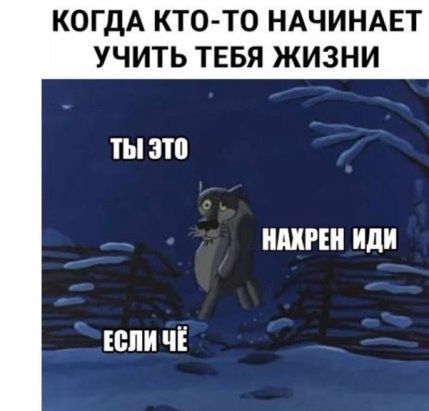 КОГДА КТО ТО НАЧИНАЕТ УЧИТЬ ТЕБЯ ЖИЗНИ ТЫ 3111 ШШШ иди спи чё