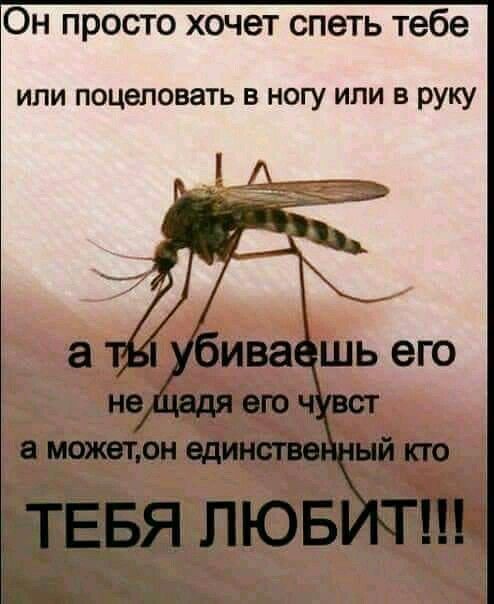 Он просто хочет спеть тебе ИЛИ поцеловать В НОГУ ИЛИ В РУКУ