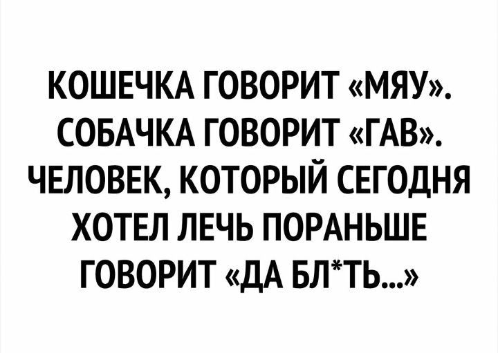 КОШЕЧКА ГОВОРИТ МЯУ СОБАЧКА ГОВОРИТ ГАВ ЧЕЛОВЕК КОТОРЫЙ СЕГОДНЯ ХОТЕЛ ЛЕЧЬ ПОРАНЬШЕ ГОВОРИТ ДА БЛТЬ