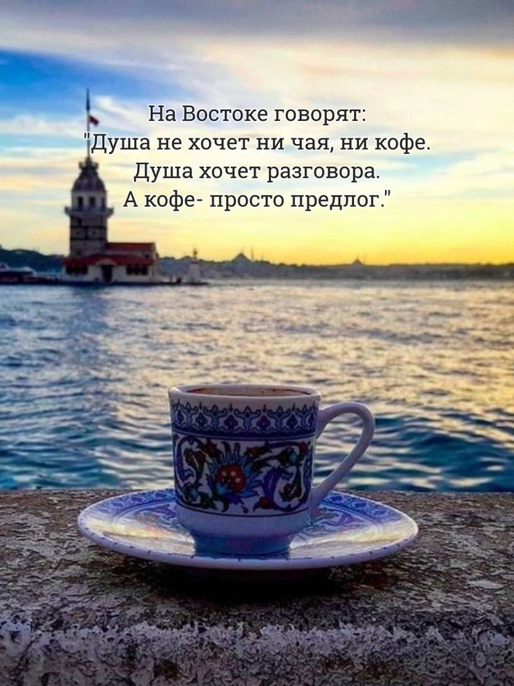 На Востоке говорят Душа не хочет ни чая ни кофе Душа хочет разговора А кофе просто предлог