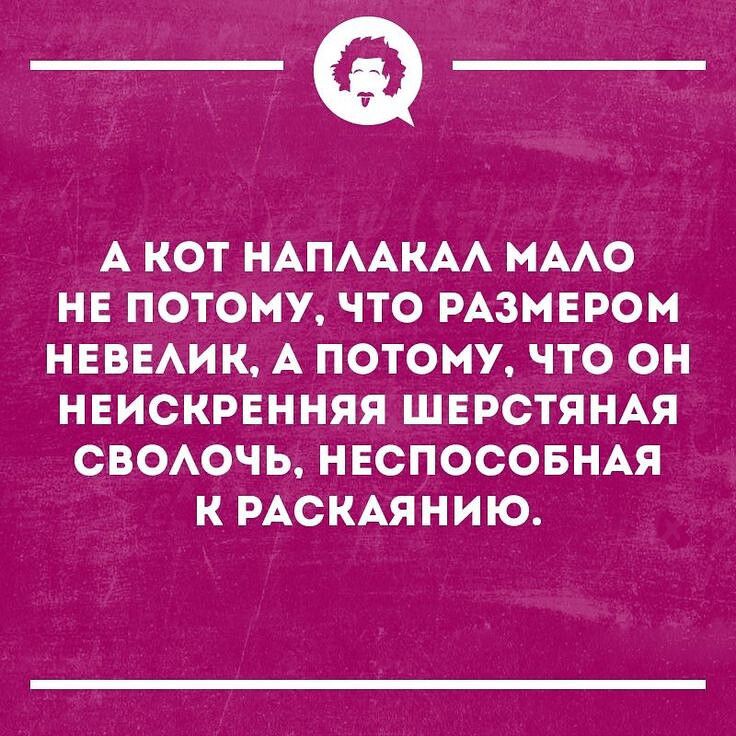 _Ф А КОТ НАПААКАА МААО НЕ ПОТОМУ ЧТО РАЗМЕРОМ НЕВЕАИК А ПОТОМУ ЧТО ОН НЕИСКРЕННЯЯ ШЕРСТЯНАЯ СВООЧЬ НЕСПОСОБНАЯ К РАСКАЯНИЮ