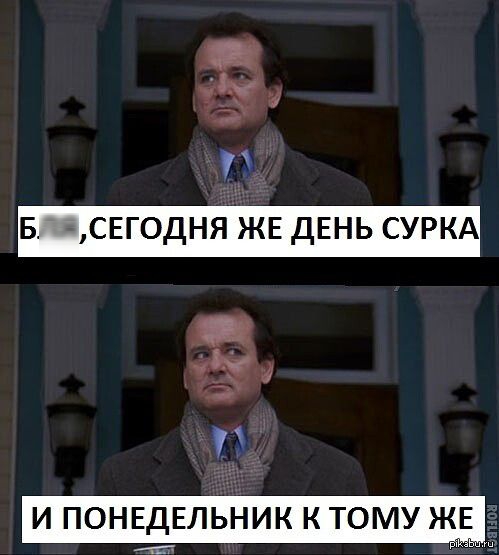 У БЛЯСЕГОДНЯ ЖЕ ДЕНЬ СУРКА дж И ПОНЕДЕЛЬНИК К ТОМУ ЖЕ