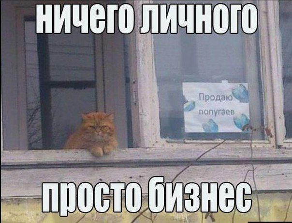 Епйшоещбимзнеа