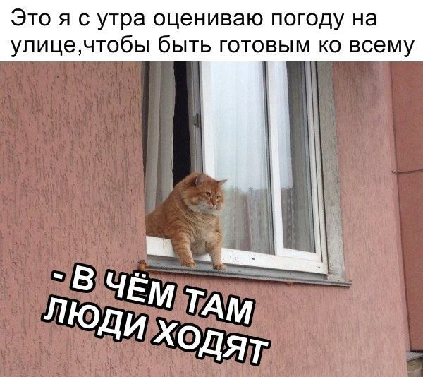 Это я с утра оцениваю погоду на упицечтобы быть готовым ко всему Г