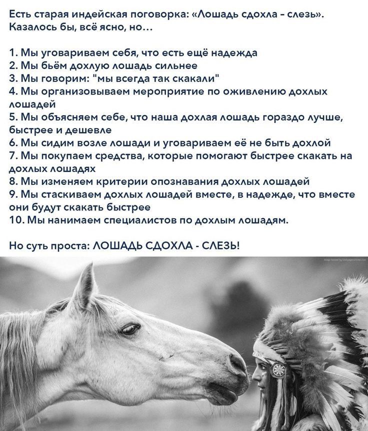 сир и иимйспи пого орки Аш що кл Бы киа м утиринвн цв мы а в да Мы милую доп си 3 Мы товари ища сиакми Мы организации и норвприни по ми Аошвдэй 5 Мы онысил дБ цю иш дв доши тр ч быпрвв и м ь Мы Мдин номе Авшіди и ую аринясм из 6 дамой 7 м покупаем ьрцшп петр помоши Биарое де Ш в Мы изимячи ириирии внимании Аошамй 9 Мы паши дв Авш мй пива и идет чт пнесп сии ау Бнпр къ м іиимц и сп ммм ддхдым дошшм