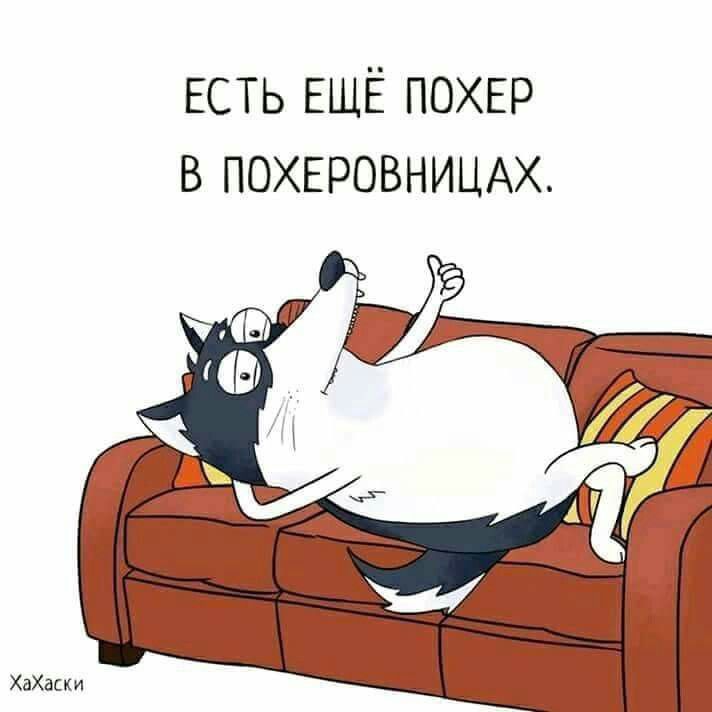 ЕСТЬ ЕЩЁ похвр ПОХЕРОВНИЦАХ