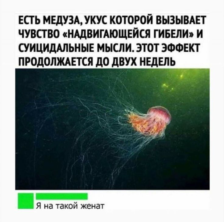 ЕП Ь МЕДУ3АУКУС КОТОРОЙ ВНЗНВАЕТ ЧУВСТВО НЩВИГАЮЩЕЙСЯ ГИБЕЛИ И СУИЦИДШЬНЫЕ МЫСЛИ ЭТОТ ЭФФЕКТ ПРОДОЛЖАЕТСЯ дО дВУХ НЕДЕЛЬ я а