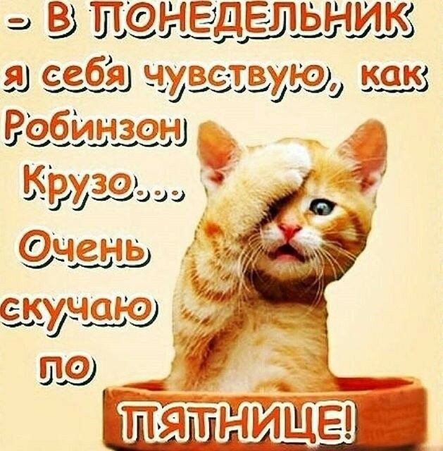 ШЫЁ4ЕЛЁЬЪ а с 96391 чиёетщи біизщфзи _