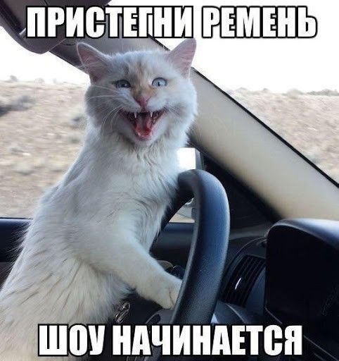 шоп ндчиндітея