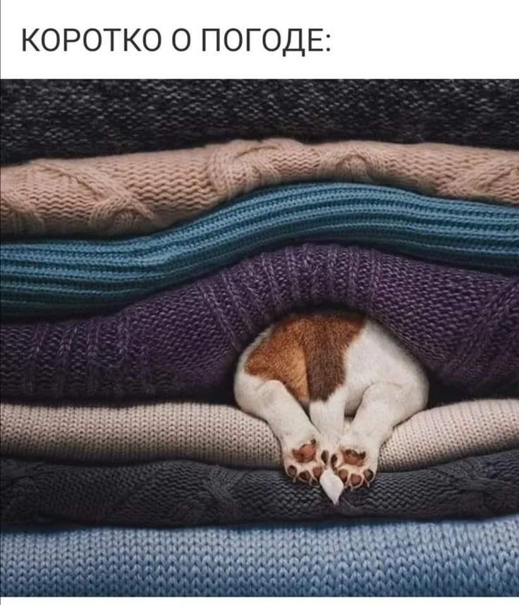 КОРОТКО О ПОГОДЕ