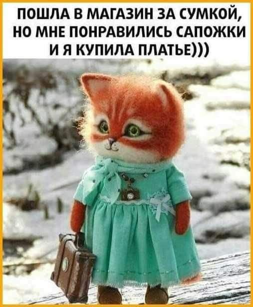 ПОШЛА В МАГАЗИН ЗА СУМКОЙ НО МНЕ ПОНРАВИЛИСЬ САПОЖКИ И ЯКУНИЛА ПЛАТЬЕ