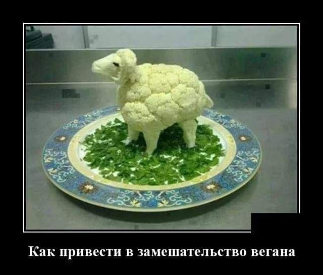Как привели в чамешятельство Бегина