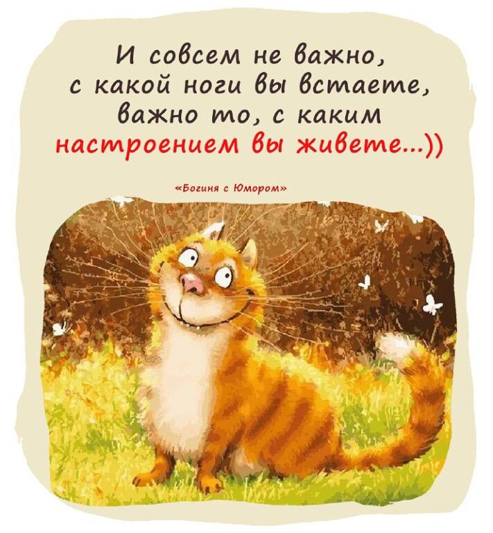 И садим не важно с какой наги Вы вставте Важно то с каким НАСт л бы 20153 г 7 г