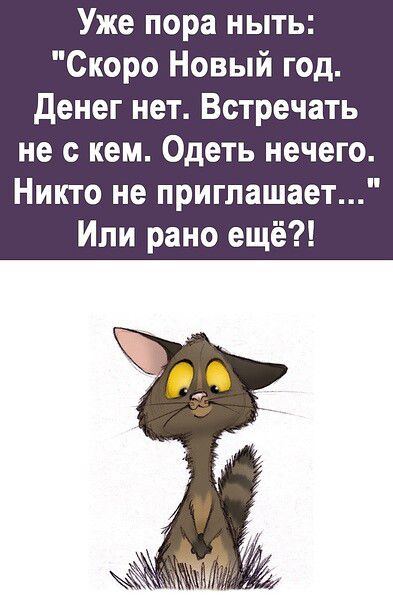 Уже пора ныть Скоро Новый год денег нет Встречать не с кем Одеть нечего Никто не приглашает Или рано ещё