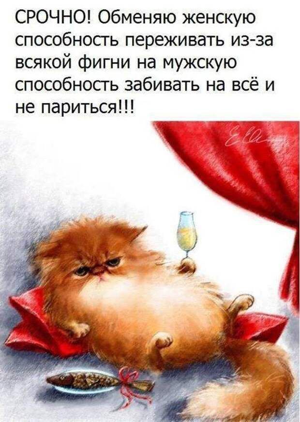 СРОЧНО Обменяю женскую способность переживать изза всякой фигни на мужскую способность забивать на всё и не париться