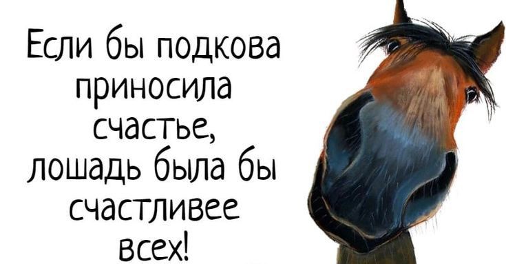 Если бы подкова приносила счастье лошадь была бы счастливее Всех