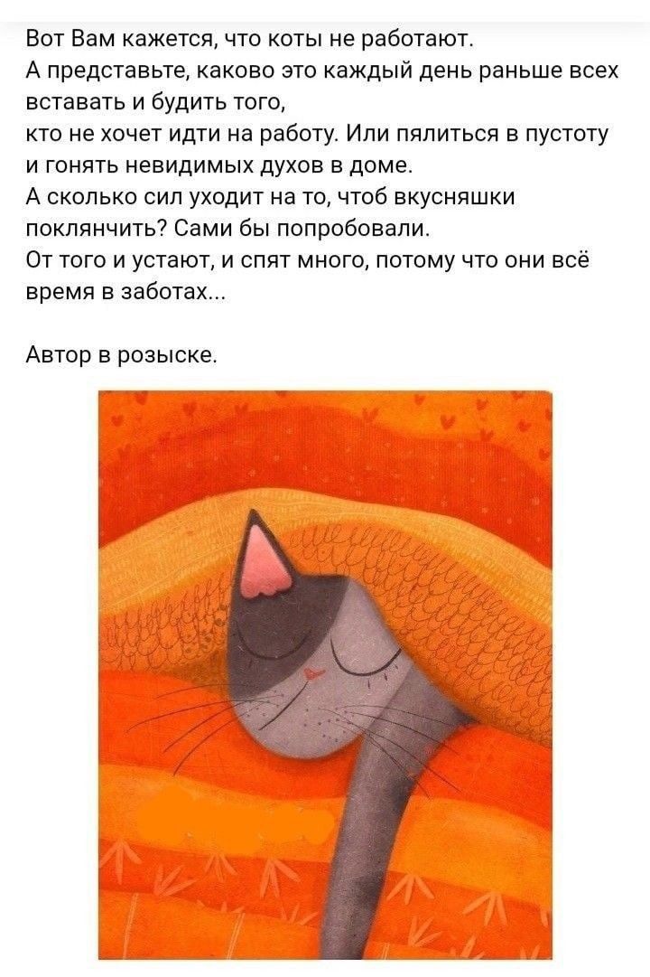 Вот Вам кажется что коты не работают А представьте каково это каждый день раньше всех вставать и будить того кгс не хочет идти на работу Или пялиться в пустоту и гонять невидимых духов в доме А сколько сип уходит на то чтоб вкусняшки поклянчить Сами бы попробовали От того и устают и спят много потому что они всё время в заботы Автор в розыске