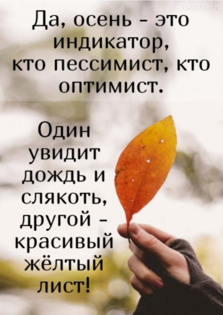 Даосень это индикатор кппессимисткто оптимист ОДЙЁ увидит дождьи слякоть другой красивый жёлтый Л И