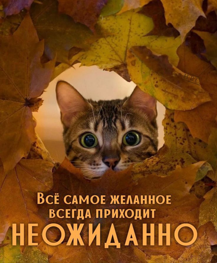 ВСЁ сдмов жнмннов ВСЕГДА приходит НЕ ажидАнноЁ