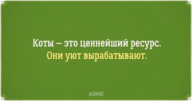 Коты это ценнейший ресурс Они уют вырабатывают