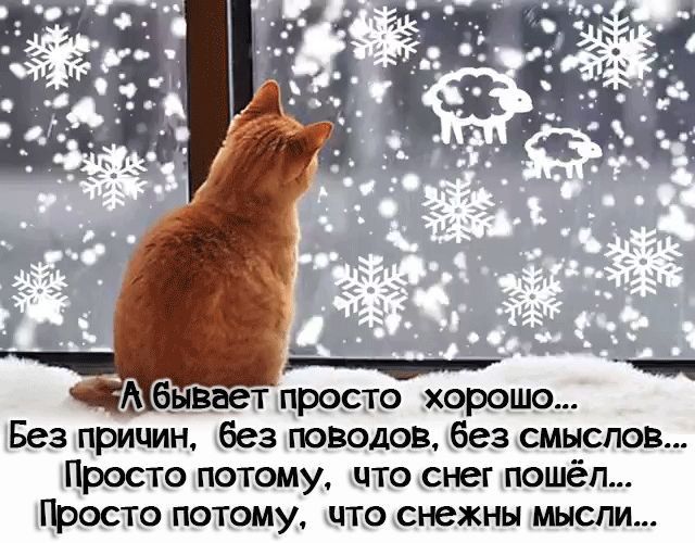 __ __ Абузает просто хорошо Без причин без поводов без смыслов Просто потому что снег пошёл Просто потому что снежны мысли