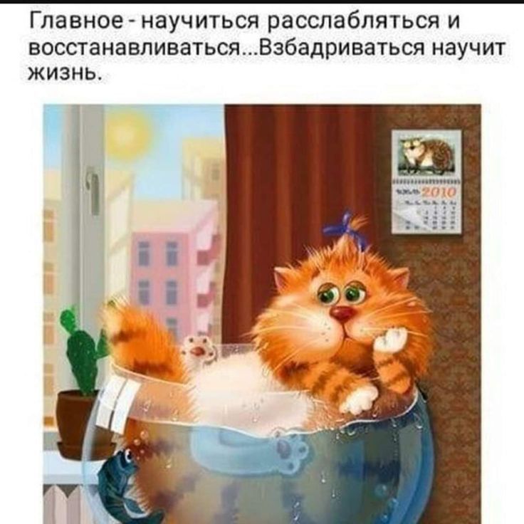Главное НВУЧИТЬСЯ расслабляться И восстанавпиватьсяВзбадриваться научит ЖИЗНЬ