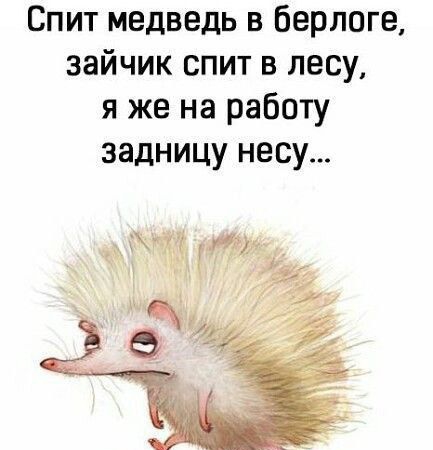 Спит медведь в берлоге зайчик спит в лесу я же на работу задницу несу отКгпоспКодю