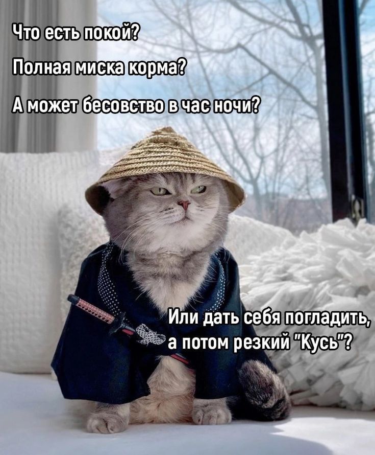 Полиаяшхшашшшд Мёэтшыэшшпд Или дать себя же потом резки