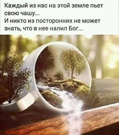 Каждый из нас на этой земле пьет свою чашу И НИКТО ИЗ ПОСТОООННИХ не МОЖЕТ знать ЧТО В нее налил БОГ