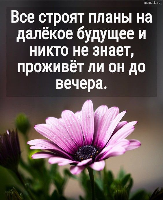 Все строят планы на далёкое будущее и никто не знает проживёт ли он до вечера