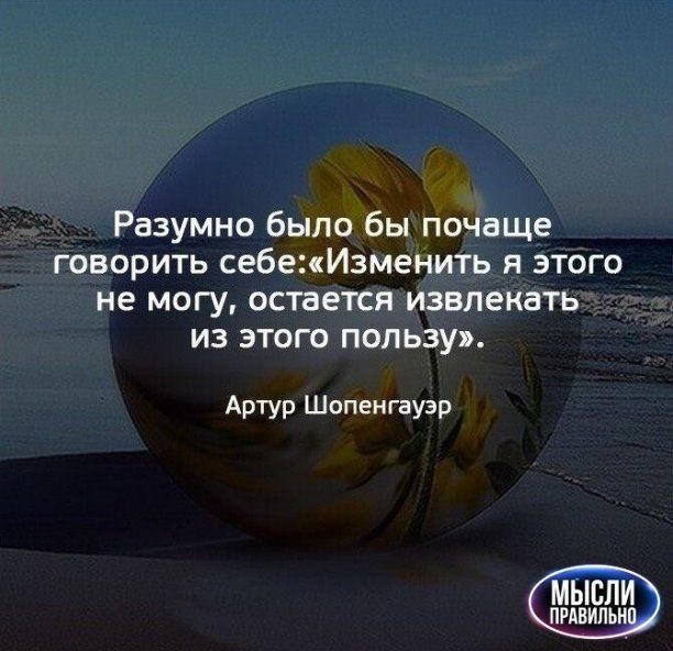 Разумно было бы почаще говорить себеиИзменить я этого не могу остается извлекать ИЗ ЭТОГО ПОЛЬЗУ Артур Шопенгауэр