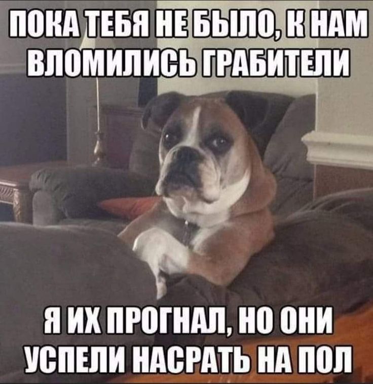 понд д ЕБН НАМ ВЛВМИПИВЬЕРАБИТШИ Я ИХ ПРВГШШ 0 ШШ ВПШ НАСРАТЬ А поп