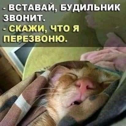 Встдвдй БУдипьі шк звонит скЪжи что я пврвзЁбню