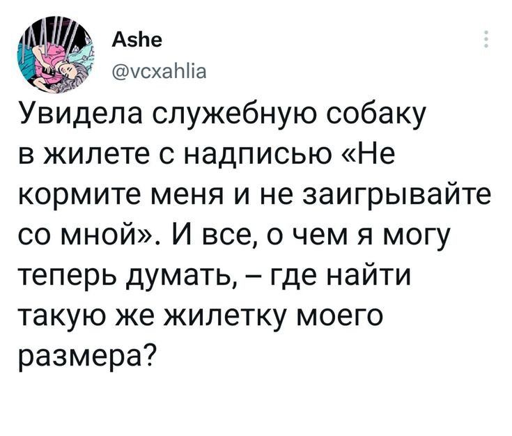 Авив чсхаННа Увидела служебную собаку в жилете с надписью Не кормите меня и не заигрывайте со мной И все о чем я могу теперь думать где найти такую же жилетку моего размера