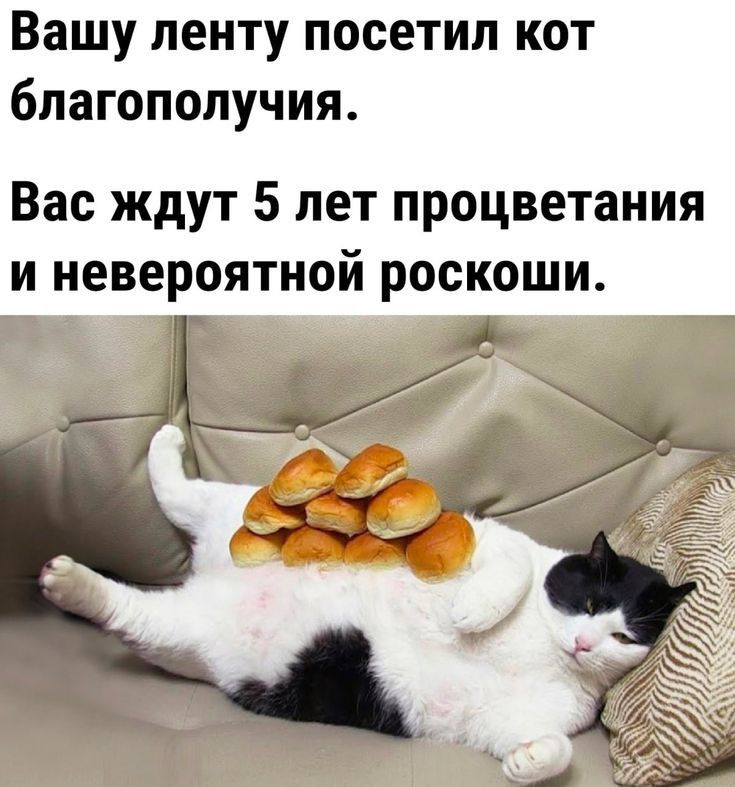 Вашу ленту посетил кот благополучия Вас ждут 5 лет процветания