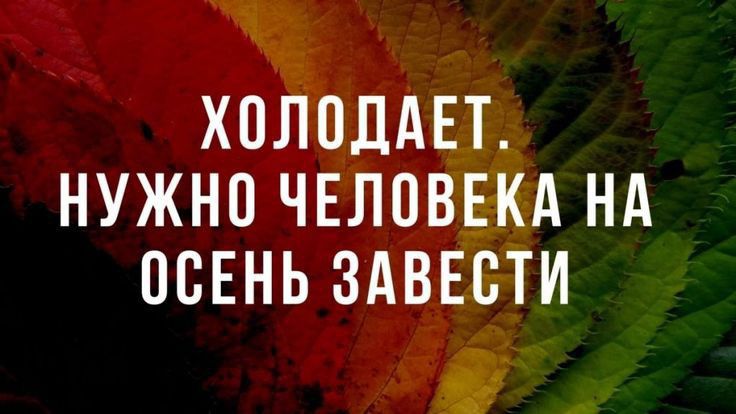 ХПЛПДАЕТ НУЖНО ЧЕЛОВЕКА НА ОСЕНЬ ЗАВЕСТИ