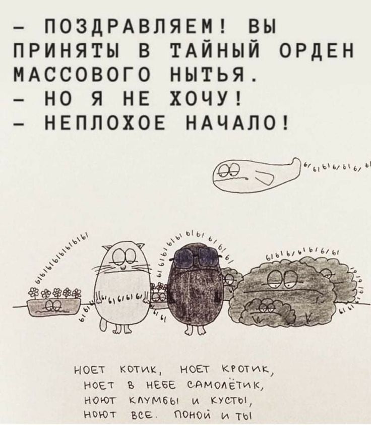 ПОЗДРАВЛЯЕМ ВЫ ПРИНЯТЫ В ТАЙНЫЙ ОРДЕН МАССОВОГО НЫТЬЯ НО Я НЕ ХОЧУ НЕПЛОХОЕ НАЧАЛО ноет ками ноет твик пост в низ маминых нот кммвы и кусты ивип все помыл