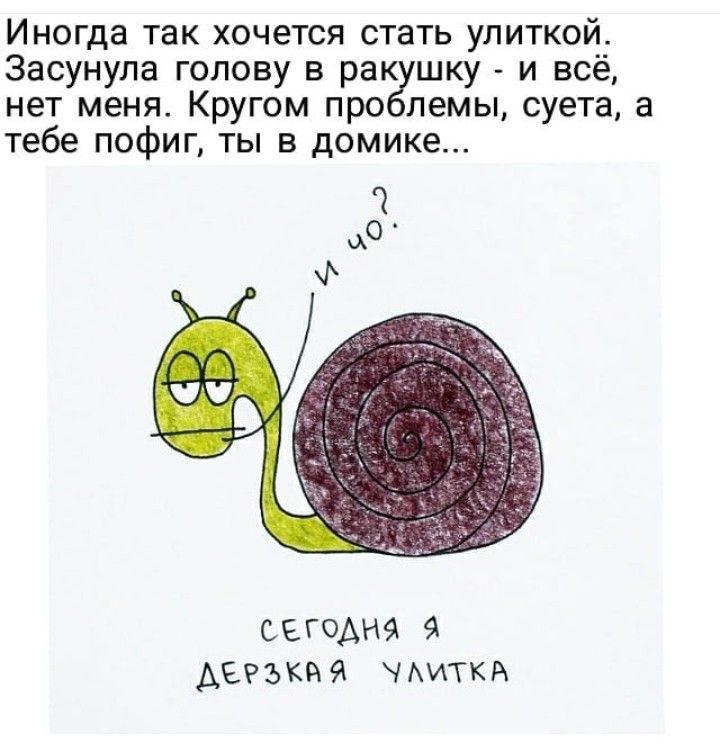 Иногда так хочется стать улиткой Засунупа голову в ра шку и всё нет меня Кругом про пемы суета а тебе пофиг ты в домике О сегодня 9 АЕРзки я чмлткй