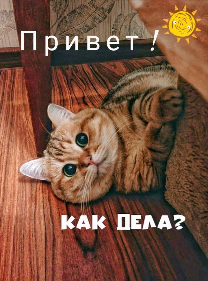 1_ ч 9 3 КАК пид