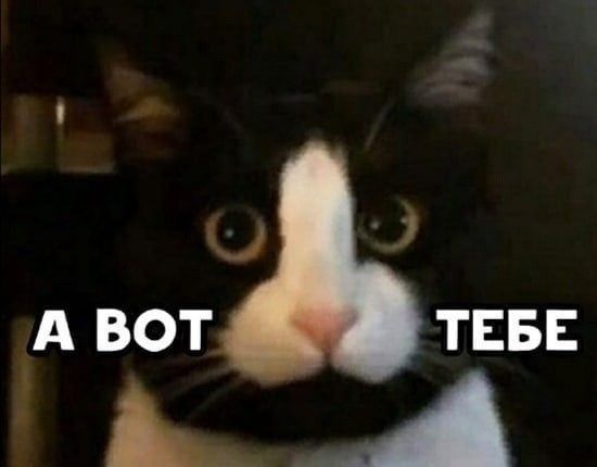 7 А ВОТ ТЕБЕ