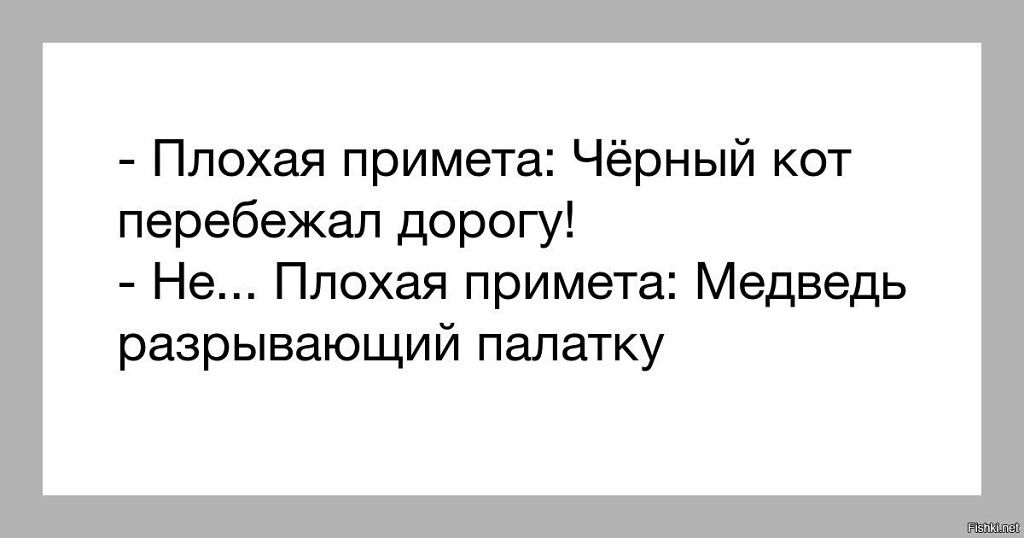 Плохая примета Чёрный кот перебежап дорогу Не Плохая примета Медведь разрывающий палатку