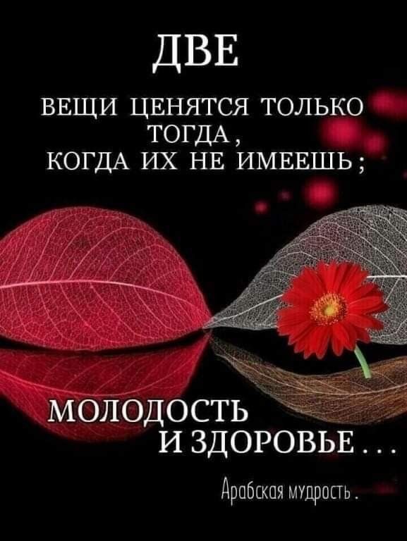 ДВЕ ВЕЩИ ЦЕНЯТСЯ ТОЛЬКО ТОГДА КОГДА ИХ НЕ ИМЕЕШЬ МОЛОДОСТЬ и ЗДОРОВЬЕ Арабская мшропь