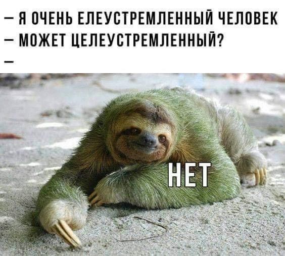 Я ОЧЕНЬ ЕЛЕУВТРЕМЛЕННЫЙ ЧЕЛПВЕК МОЖЕТ ЦЕЛЕУВТРЕМЛЕННЫЙ