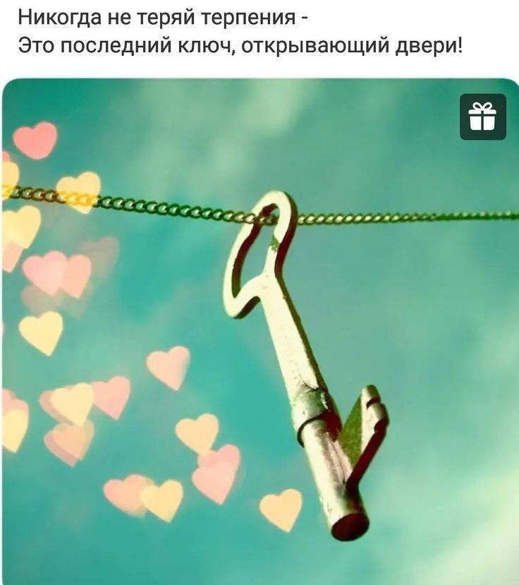 Никогда не теряй терпения Это последний ключ открывающий двери