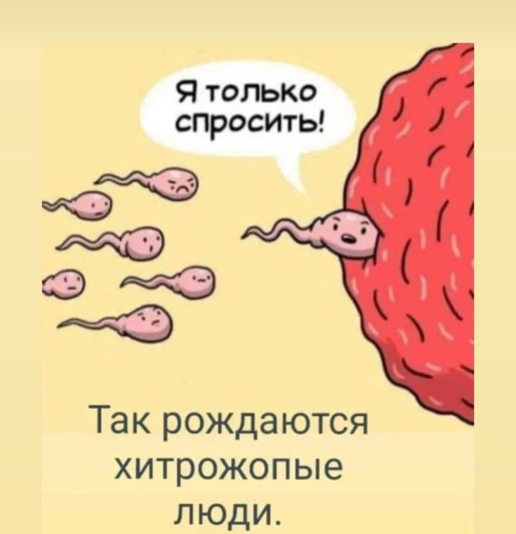 Я только спрость 3 О Э В Так рождаются хитрожопые люди