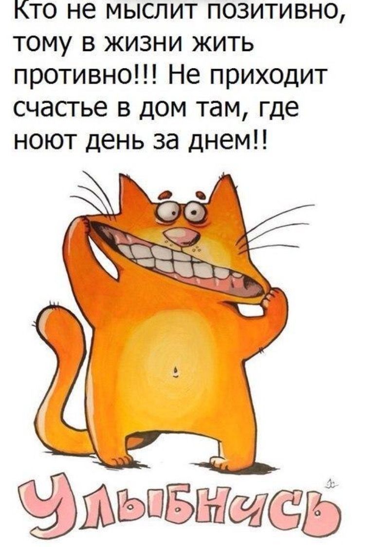 Кто не мыслит позитивно тому в жизни жить противно Не приходит счастье в дом там где ноют день за днем