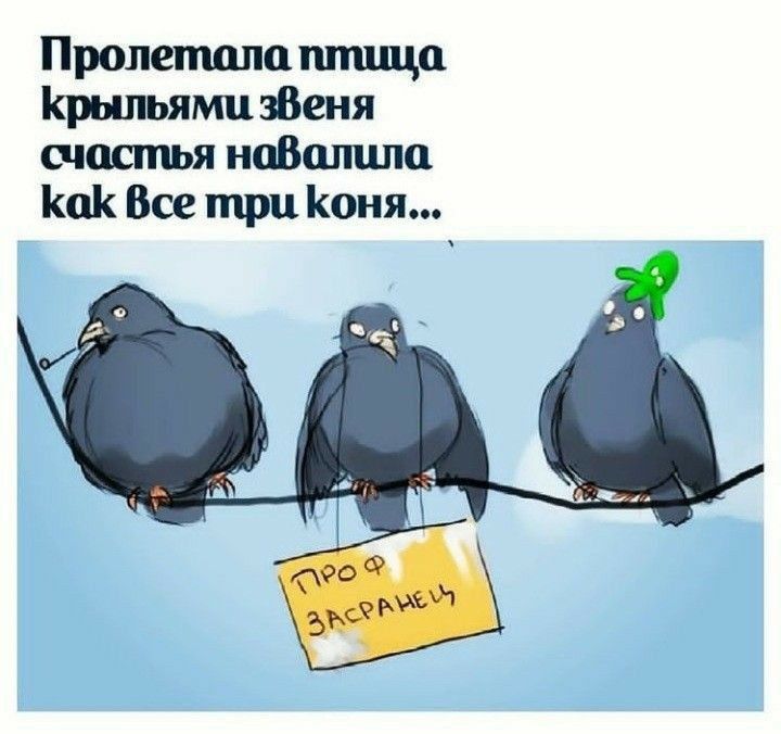 Пропетпла птица Крыпьями зВеня щастья нпВппцпо Как Все три Коня