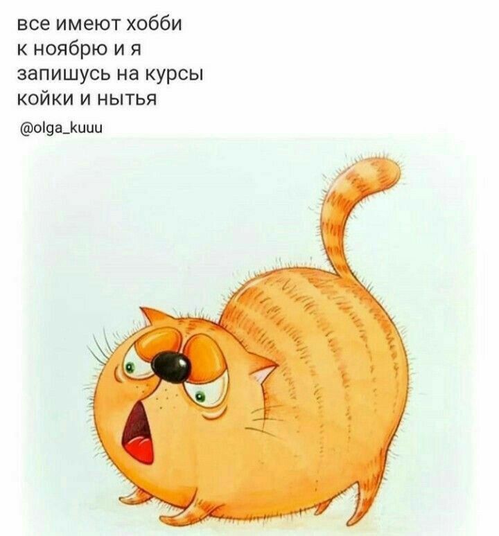 все имеют хобби к ноябрю и я запишусь на курсы койки и нытья оша_Кциц