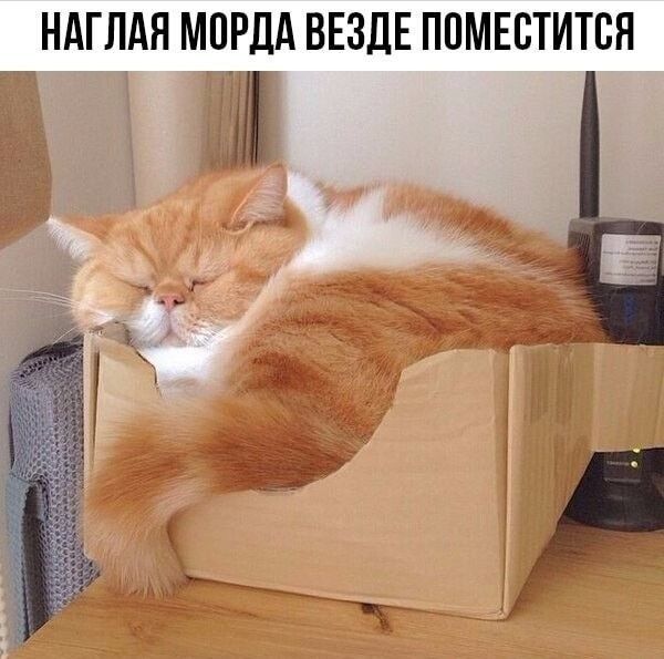 НАГПАЯ МПРДА ВЕЗДЕ ППМЕПТИТБЯ дд