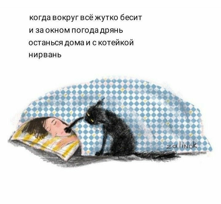 когда вокруг всёжутко бесит и за окном погодадрянь останьсядома и котейкой нирвань